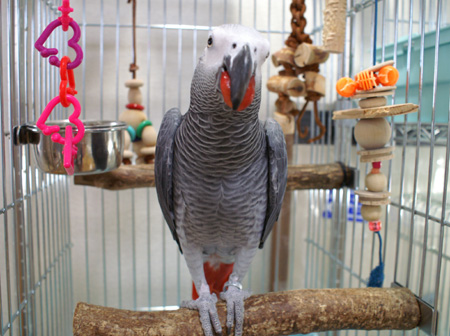 c0004078_2355256.jpg