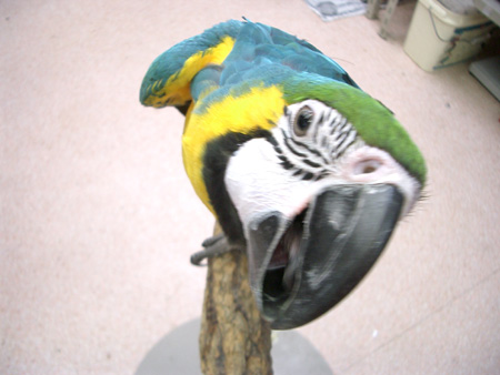 c0004078_23552834.jpg