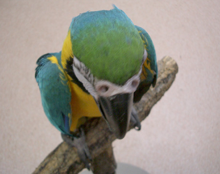c0004078_23553720.jpg