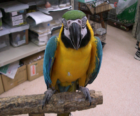 c0004078_23554113.jpg