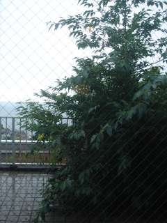 2006年7月16日 ワープできるかな_b0098584_22583387.jpg