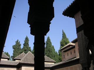 c0051991_384810.jpg