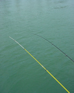 c0049902_1232203.jpg