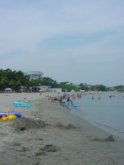 c0049902_12363894.jpg