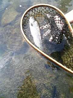 f0006510_16281022.jpg