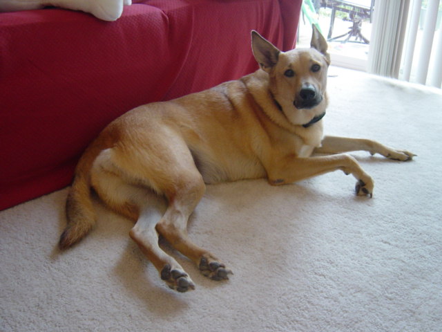 c0079011_647186.jpg