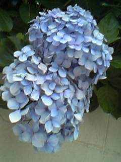e0037314_23343023.jpg