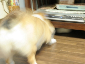 e0071225_22222421.jpg