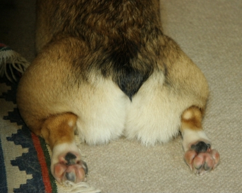 e0071225_22551983.jpg
