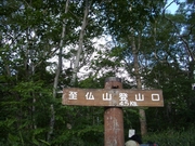 b0008526_23193117.jpg