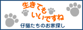 e0000126_1444475.gif