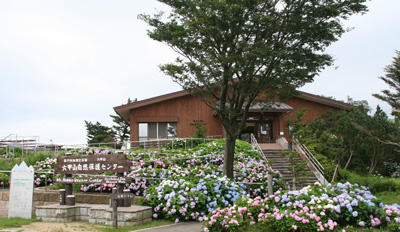 土砂降り通り雨の六甲山最高峰９３１m（関西１００名山）　神戸市_d0055236_15103235.jpg