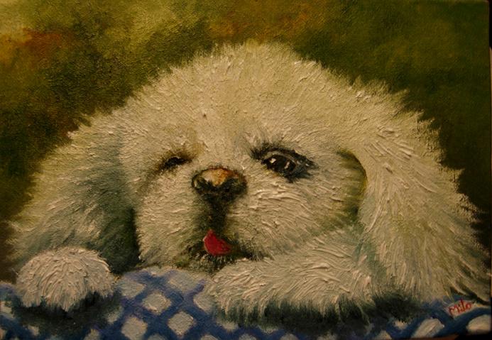 ペキニーズの絵 油絵画家 永月水人のａｒｔ ｌｉｆｅ