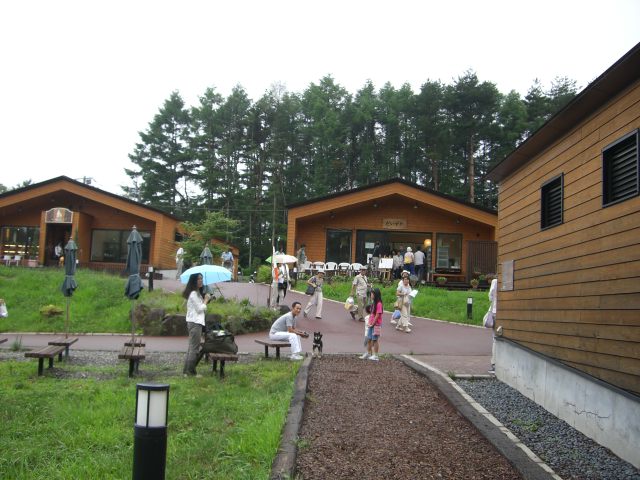 e0025240_12399.jpg