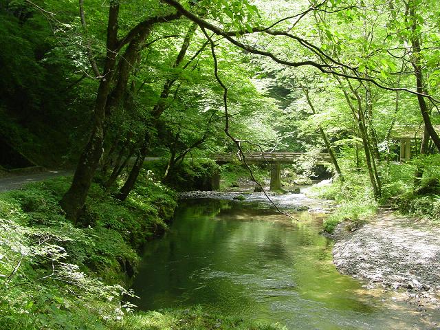 b0075541_17473930.jpg