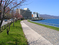 d0038644_044757.jpg