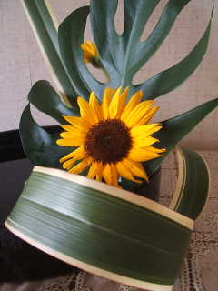 e0086864_0585080.jpg