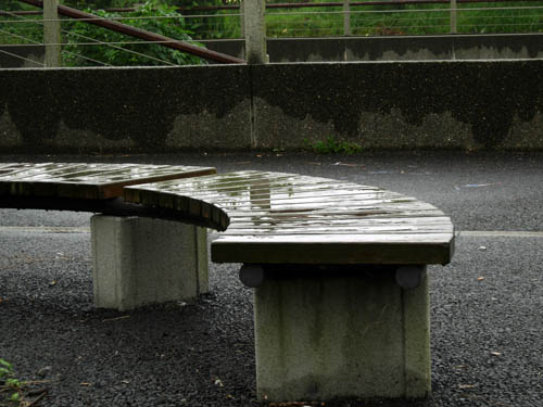 雨模様の川沿いの小道_a0083081_19404483.jpg