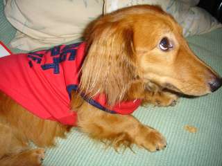 2006年7月17日 もうすっかりセレブ_b0098584_2150423.jpg
