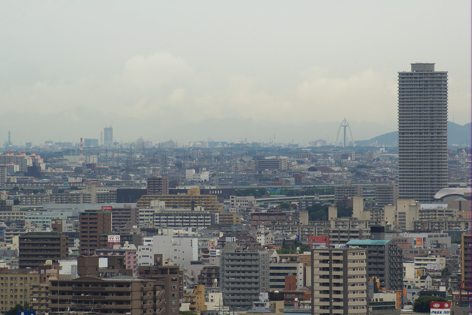 岐阜の超高層マンションと鳥_d0042090_1328291.jpg