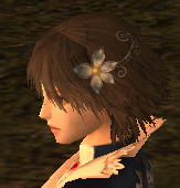 c0008293_1015193.gif