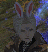 c0008293_10155557.gif