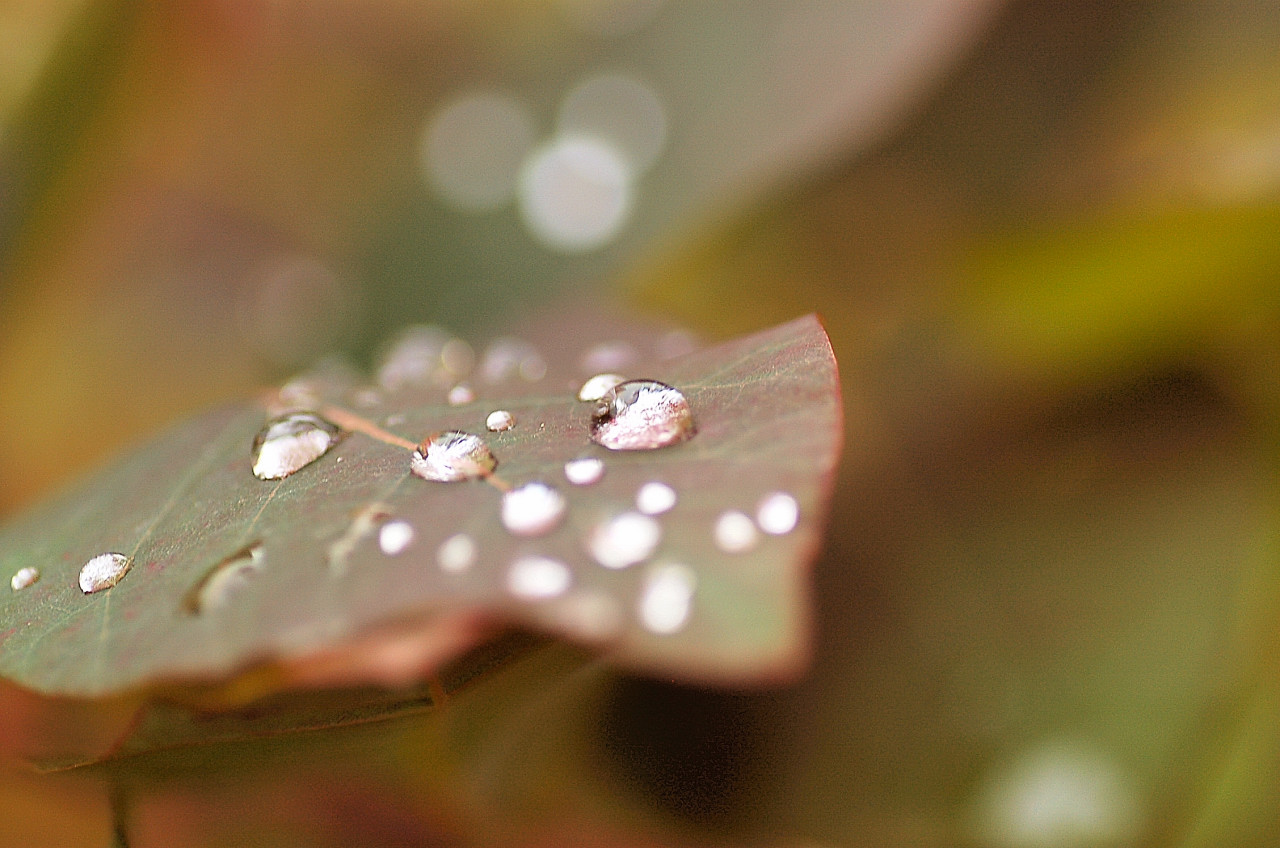 雨でした_a0062697_22244794.jpg