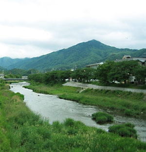 c0069903_811767.jpg