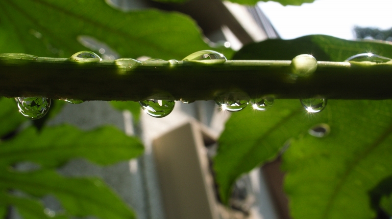 雨の日だから（5）_c0071611_1531942.jpg