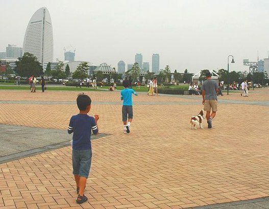 c0065512_16135149.jpg