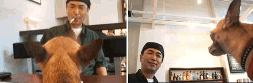 c0019050_22185566.gif