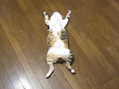暑いっすね〜2_a0028451_19463560.jpg