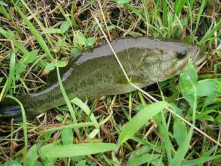 f0073059_3243126.jpg