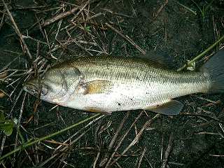 f0073059_324552.jpg