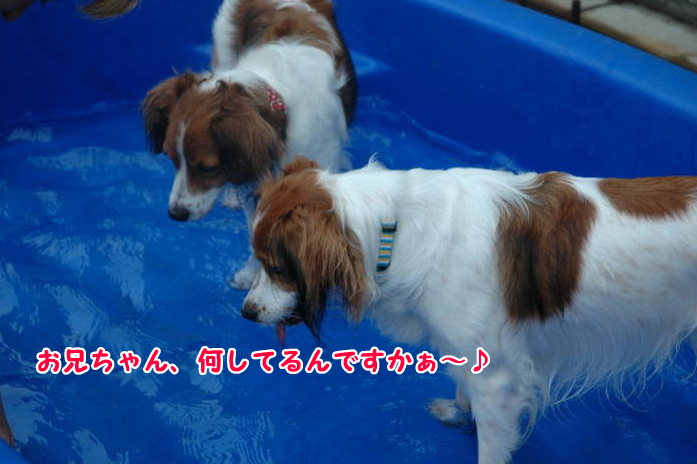 c0075585_0302099.jpg