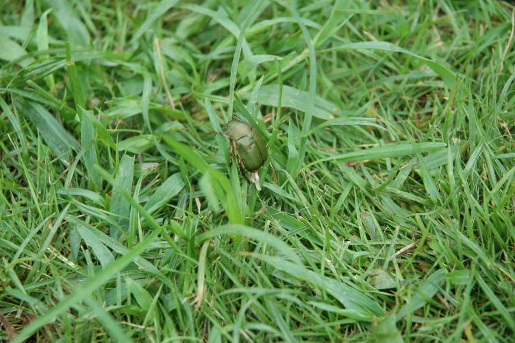 c0075585_12402.jpg