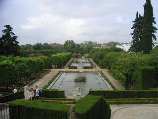 c0051991_45852.jpg