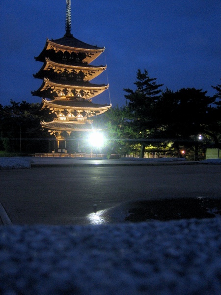 雨上がり、セミの声・・・_c0043403_21481391.jpg