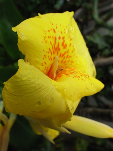 c0071611_8153830.jpg