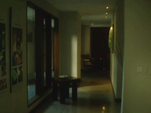 d0038319_109896.gif