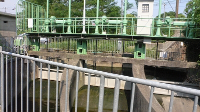 f0087933_15621.jpg