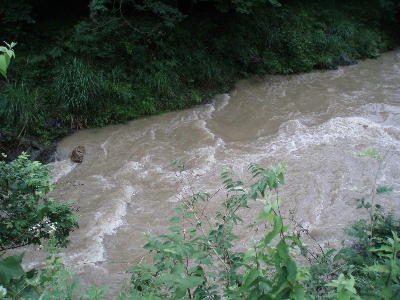 降り続いた雨。_f0043292_15441942.jpg