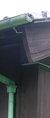 f0108797_8583967.jpg