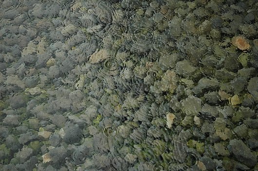 d0064000_1343054.jpg