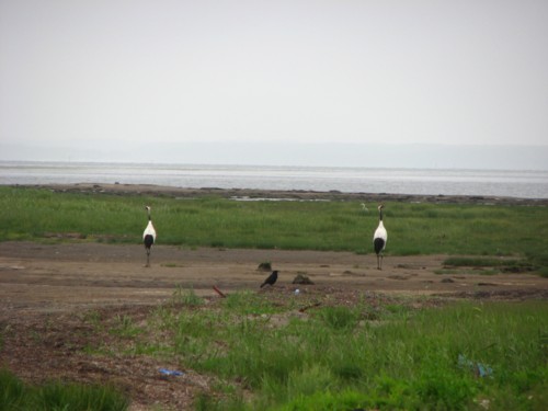 f0020302_1759927.jpg