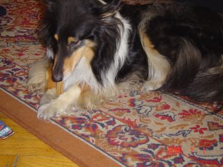 e0039206_23422985.jpg