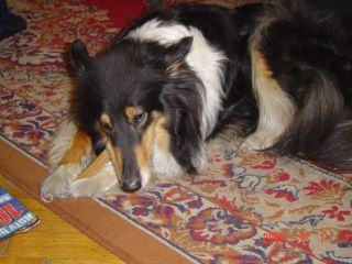 e0039206_2342329.jpg