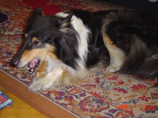 e0039206_23424178.jpg