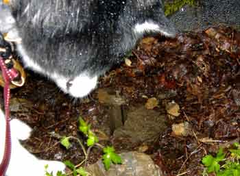 e0001110_2324041.jpg