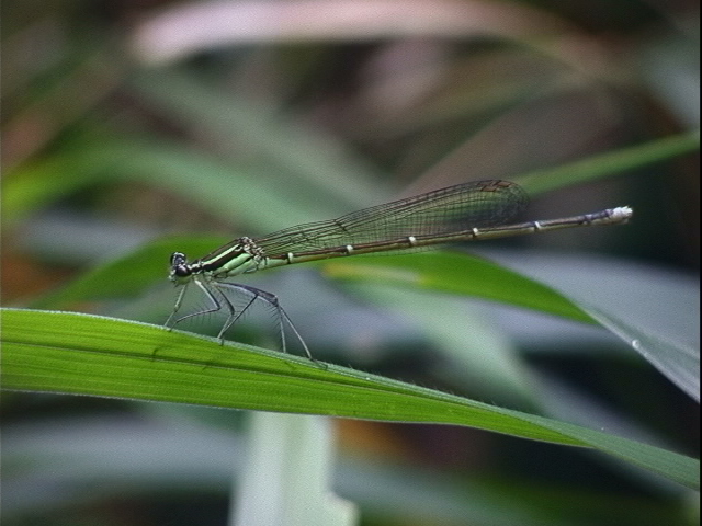 d0020180_2035319.jpg